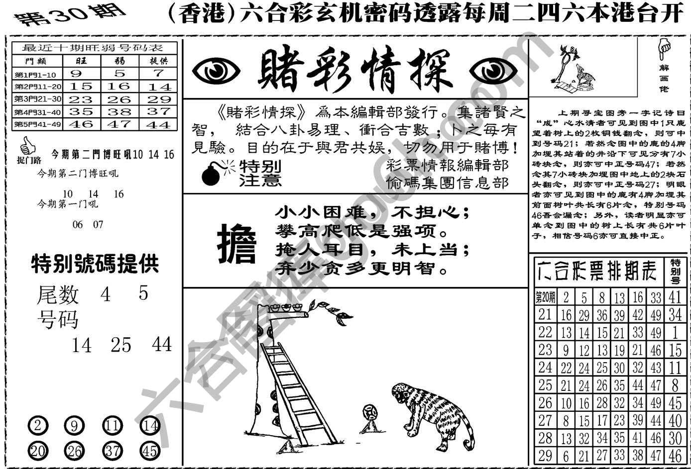赌彩情探