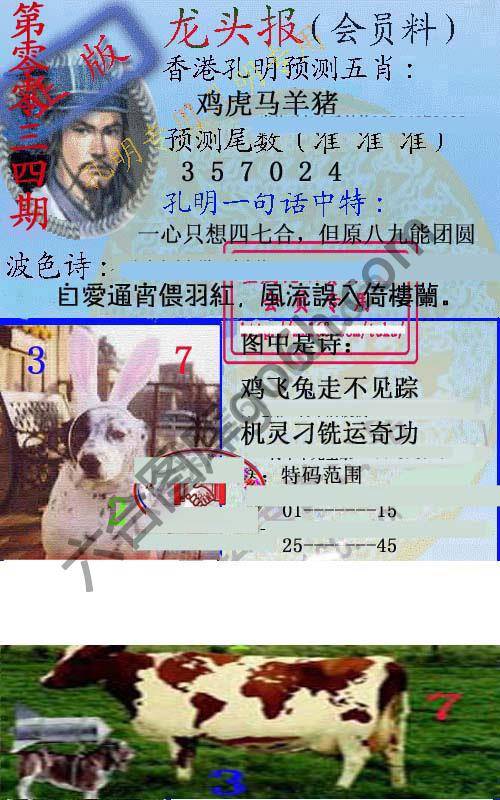 龙头报