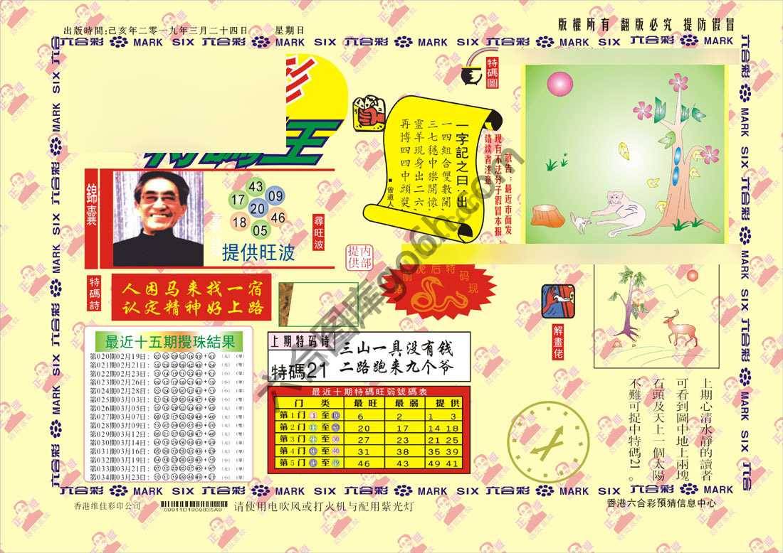 特码王