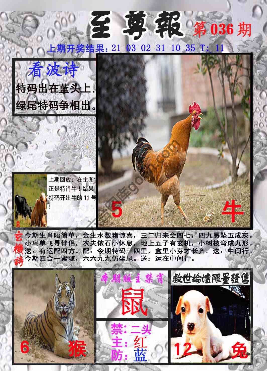 至尊报