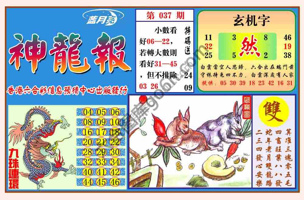 蓝月亮神龙报
