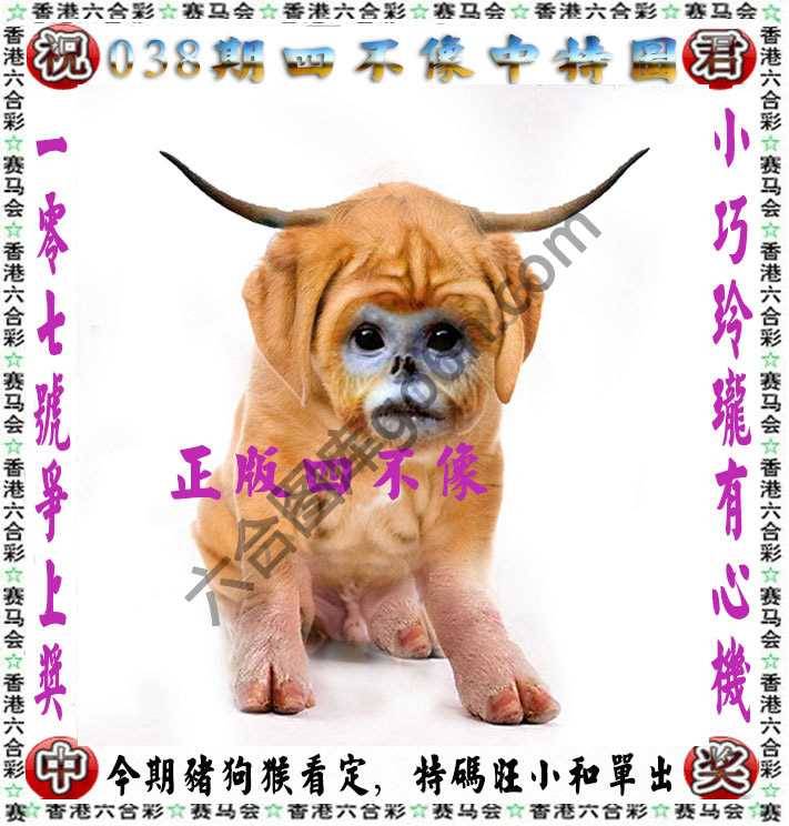 四不像中特图