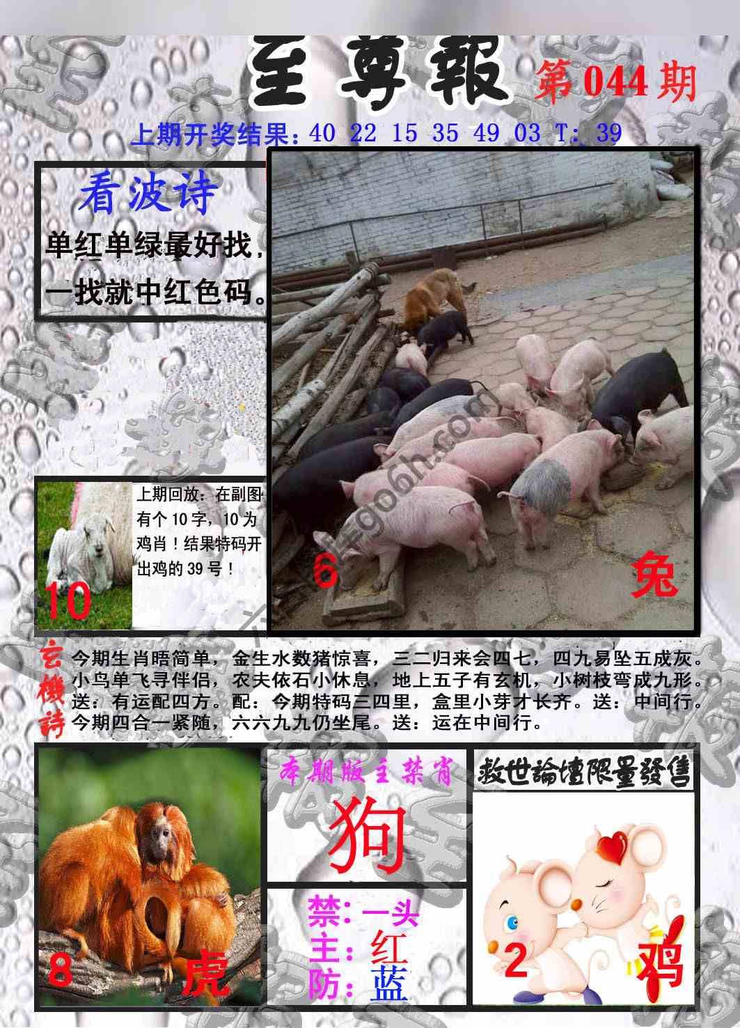 至尊报