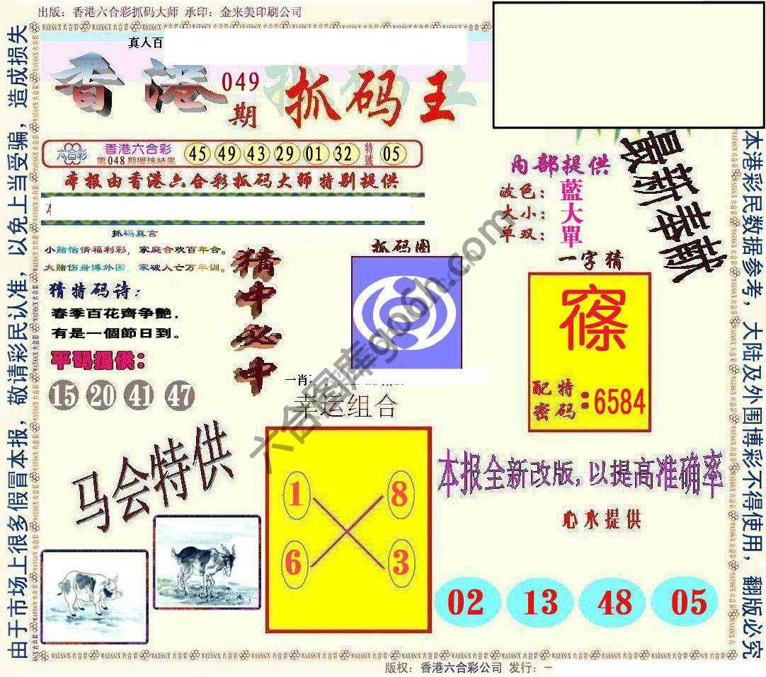 新抓码王