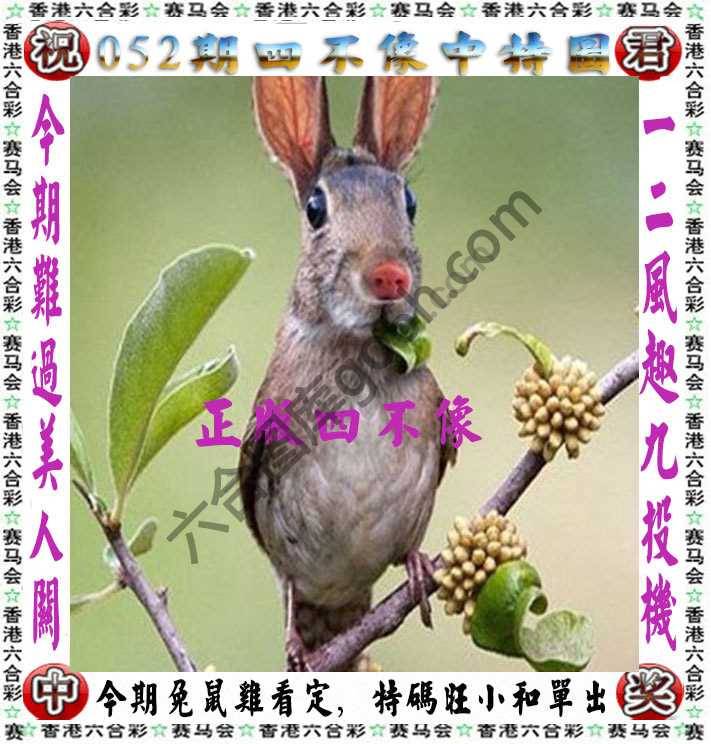 四不像中特图
