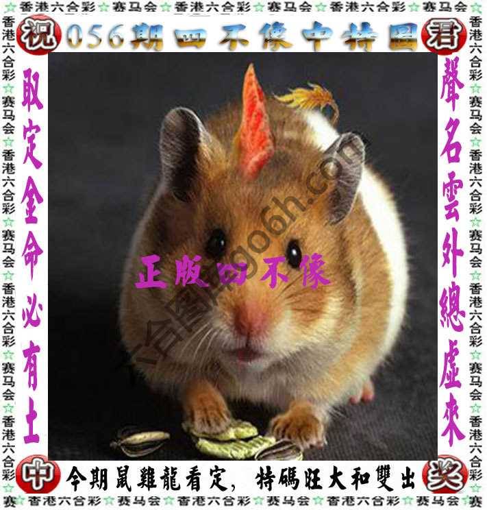 四不像中特图