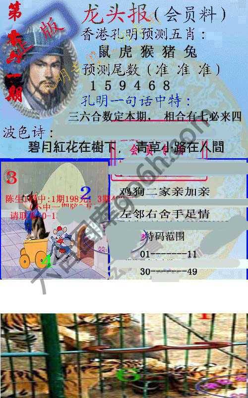 龙头报
