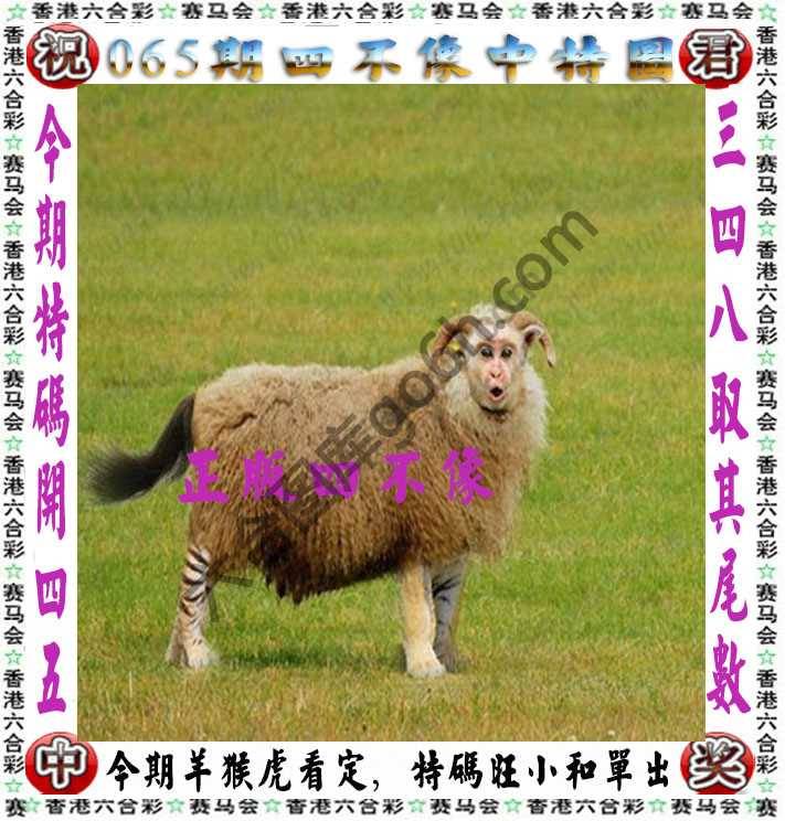 四不像中特图