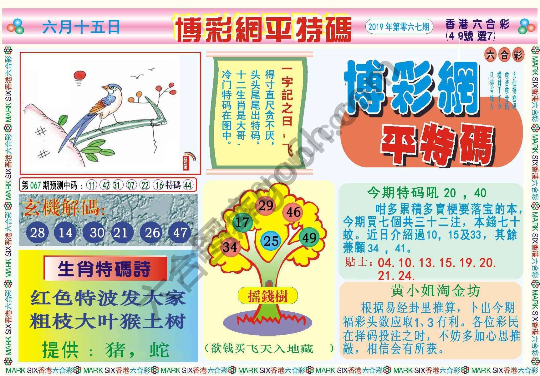 博彩网平特码
