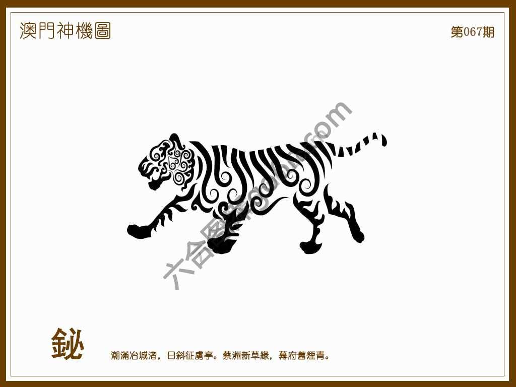 澳门神机图