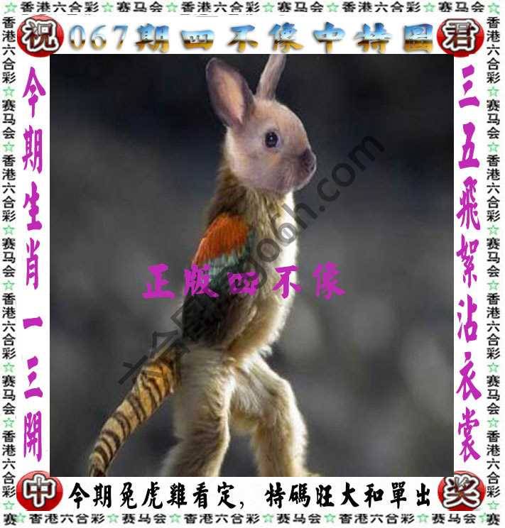 四不像中特图