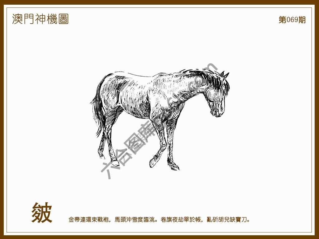 澳门神机图