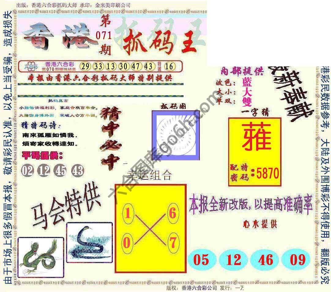 新抓码王
