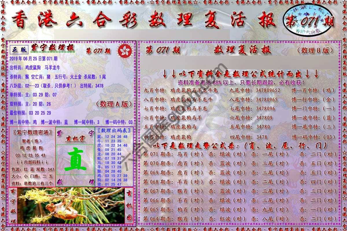 数理复活报