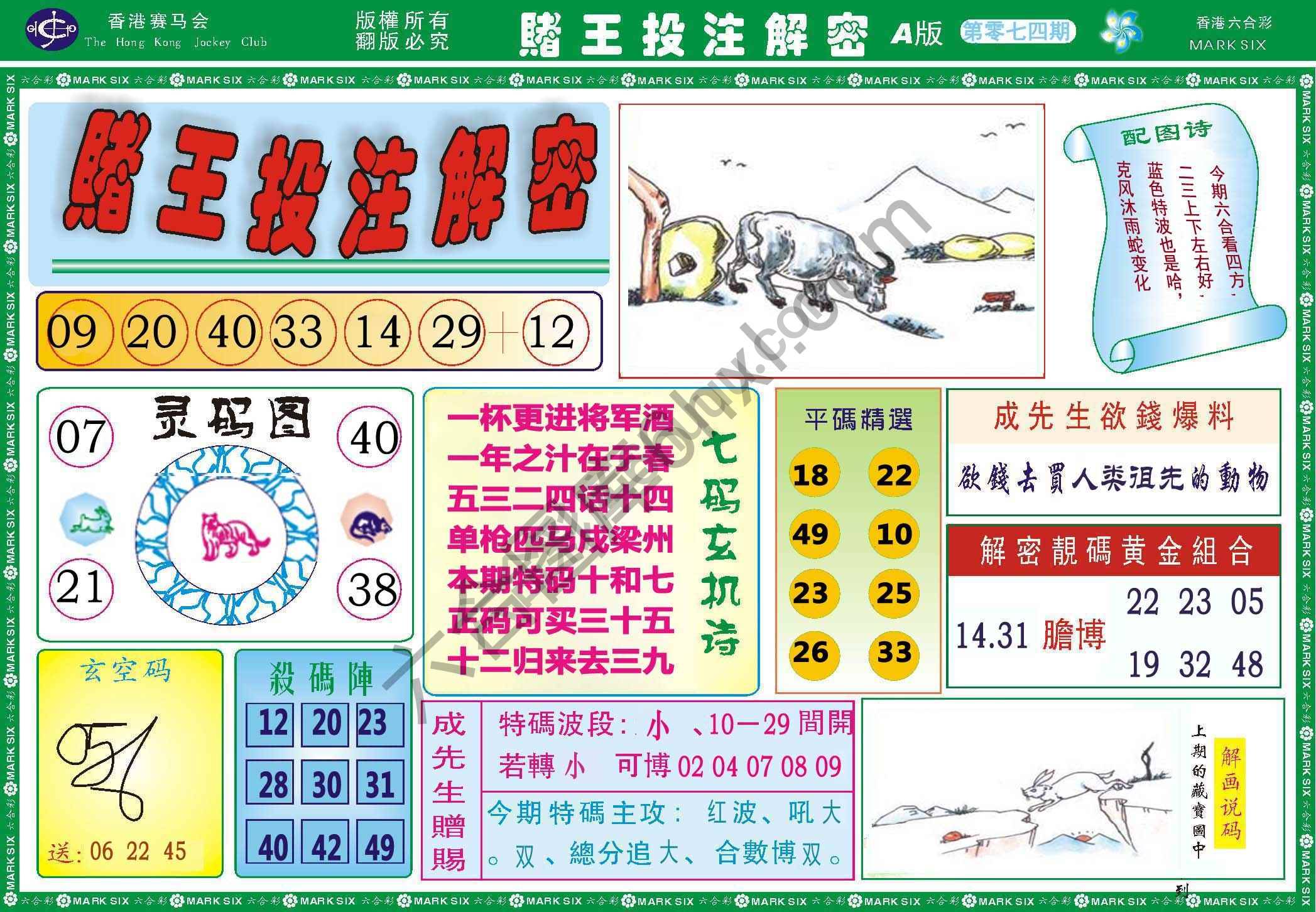赌王投注解密