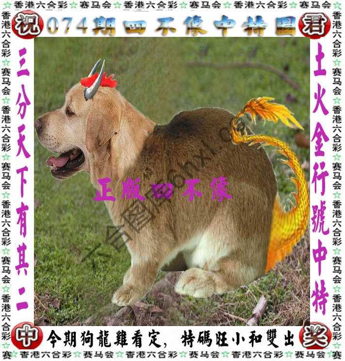 四不像中特图