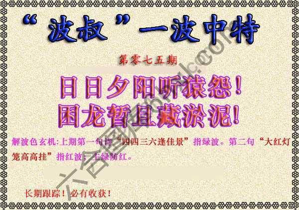 波叔一波中特