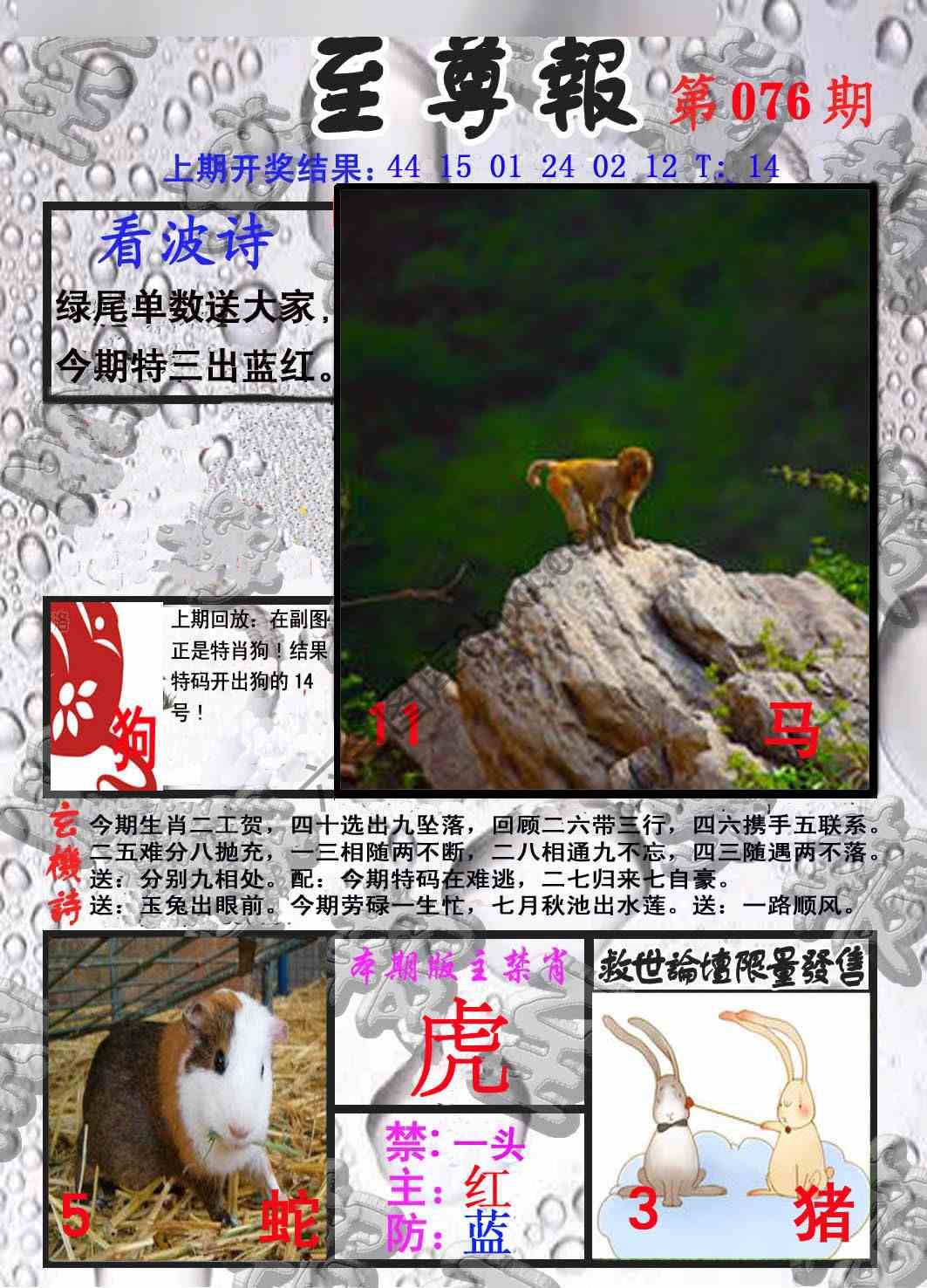 至尊报