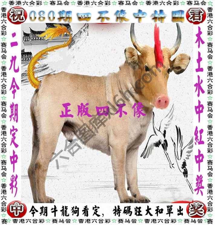 四不像中特图