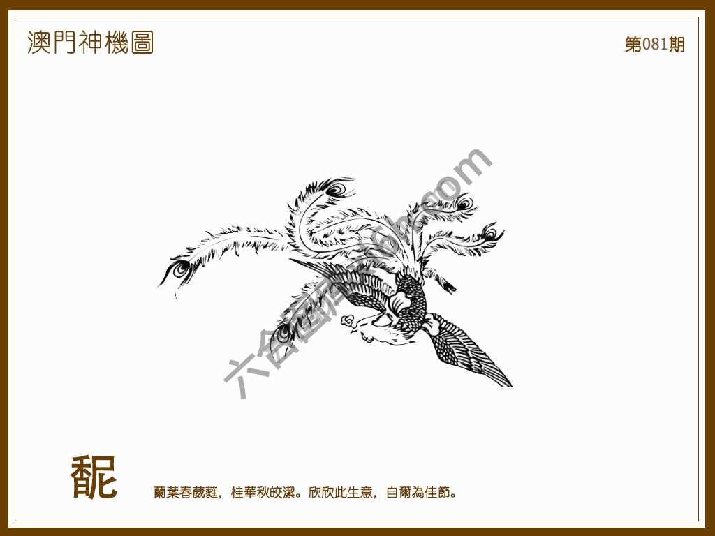 澳门神机图