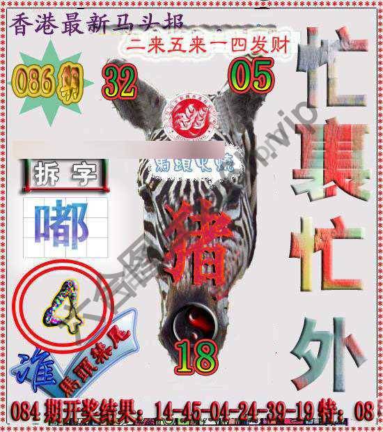 香港马头报