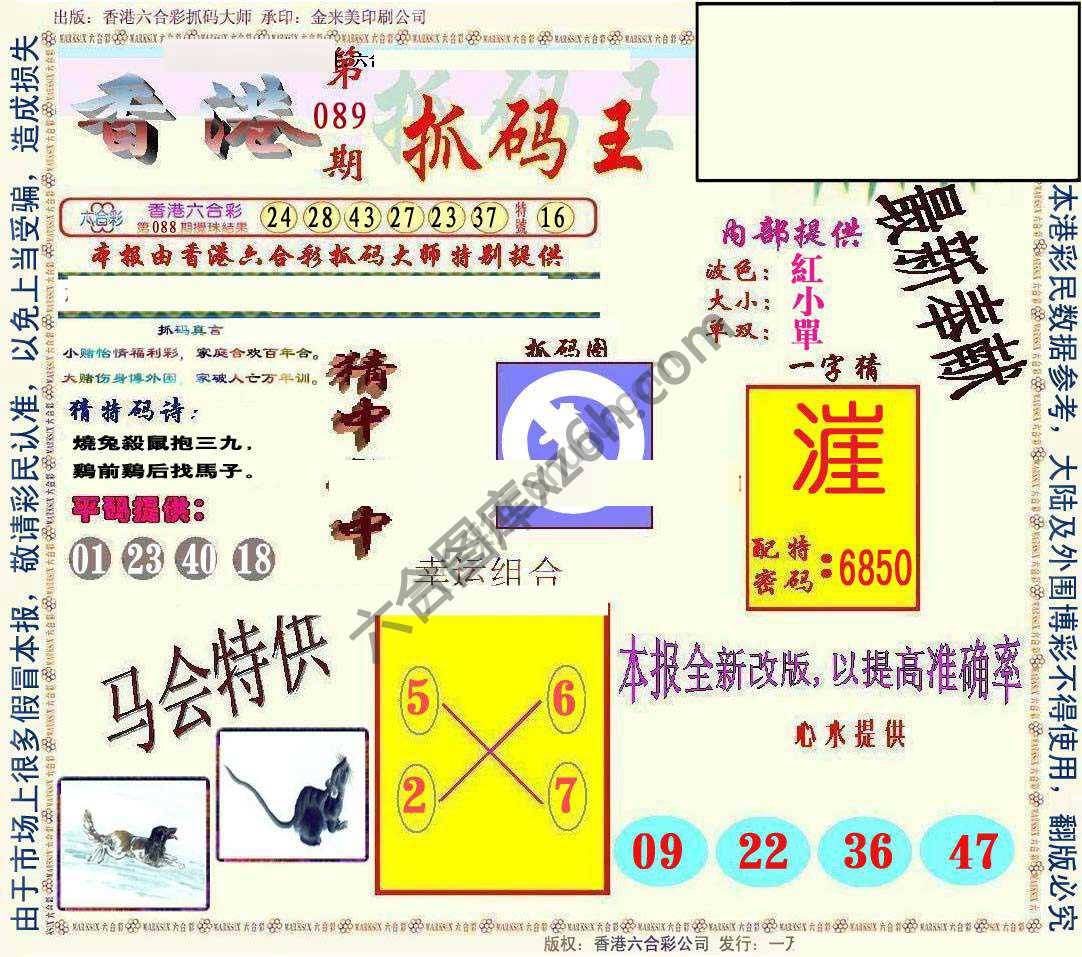 新抓码王