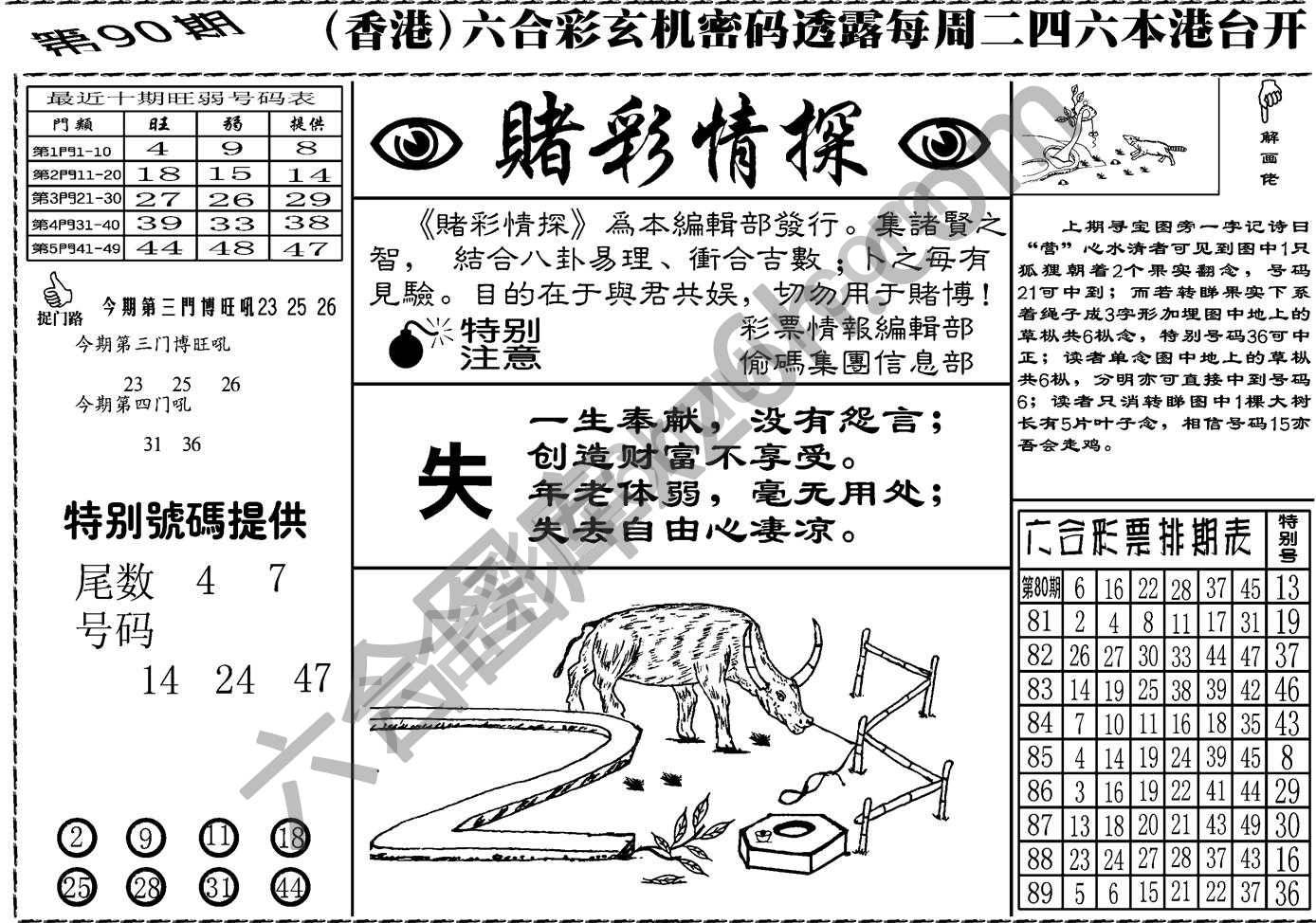 赌彩情探
