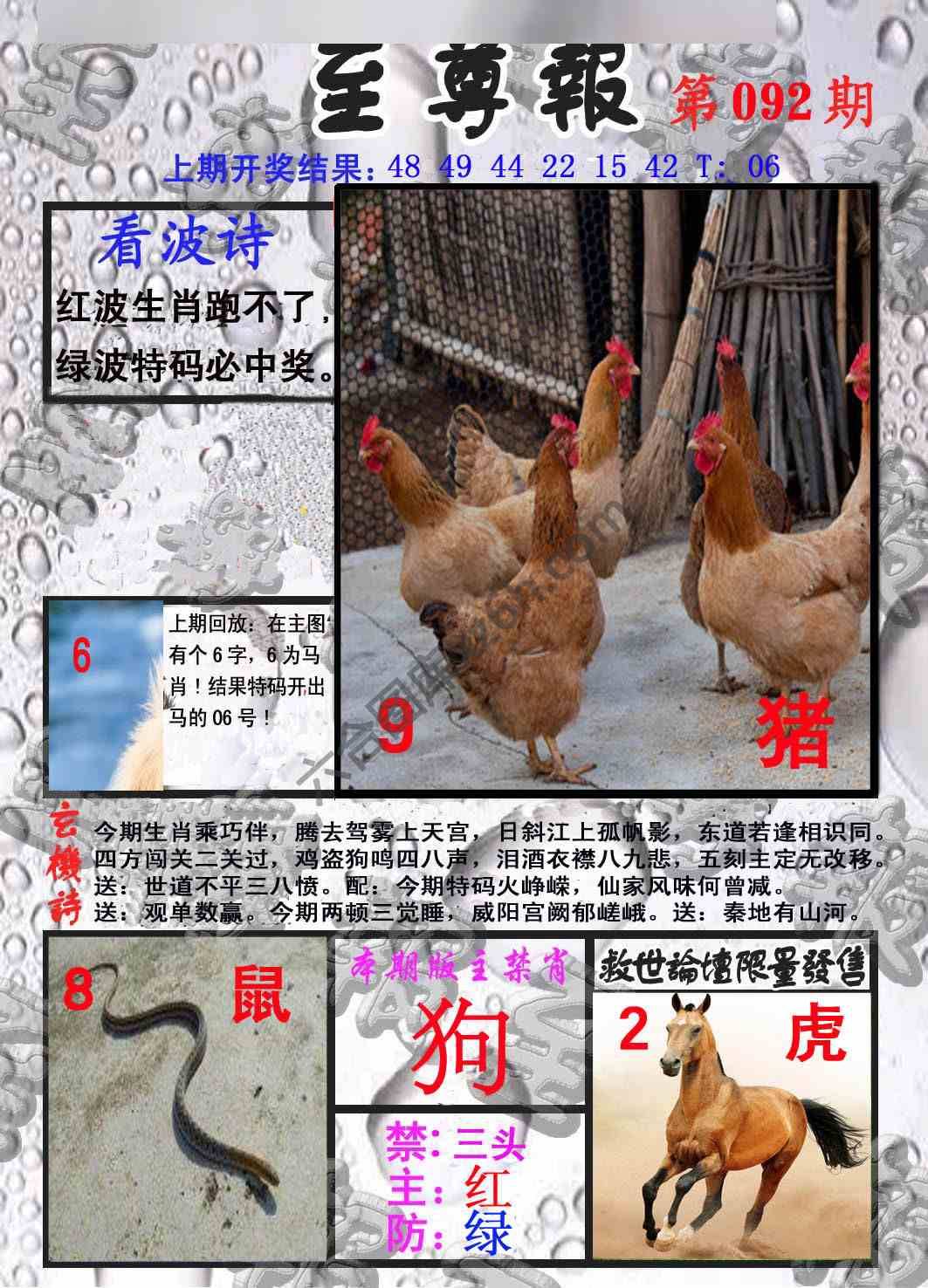 至尊报