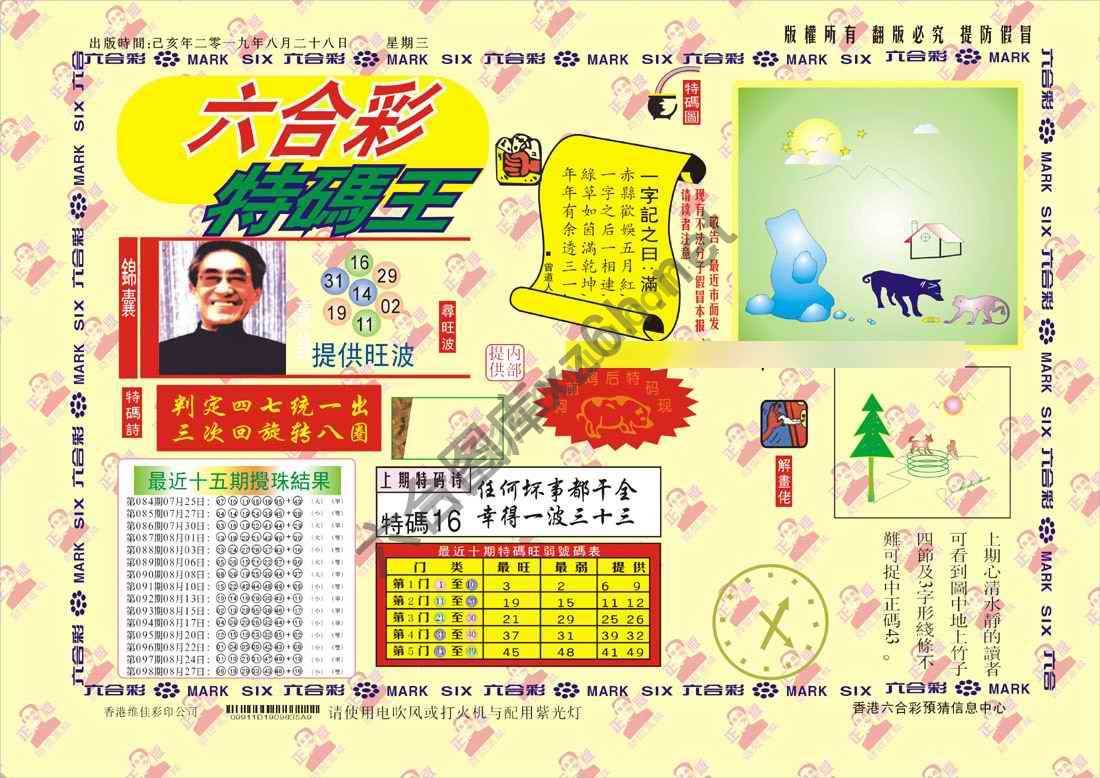 特码王