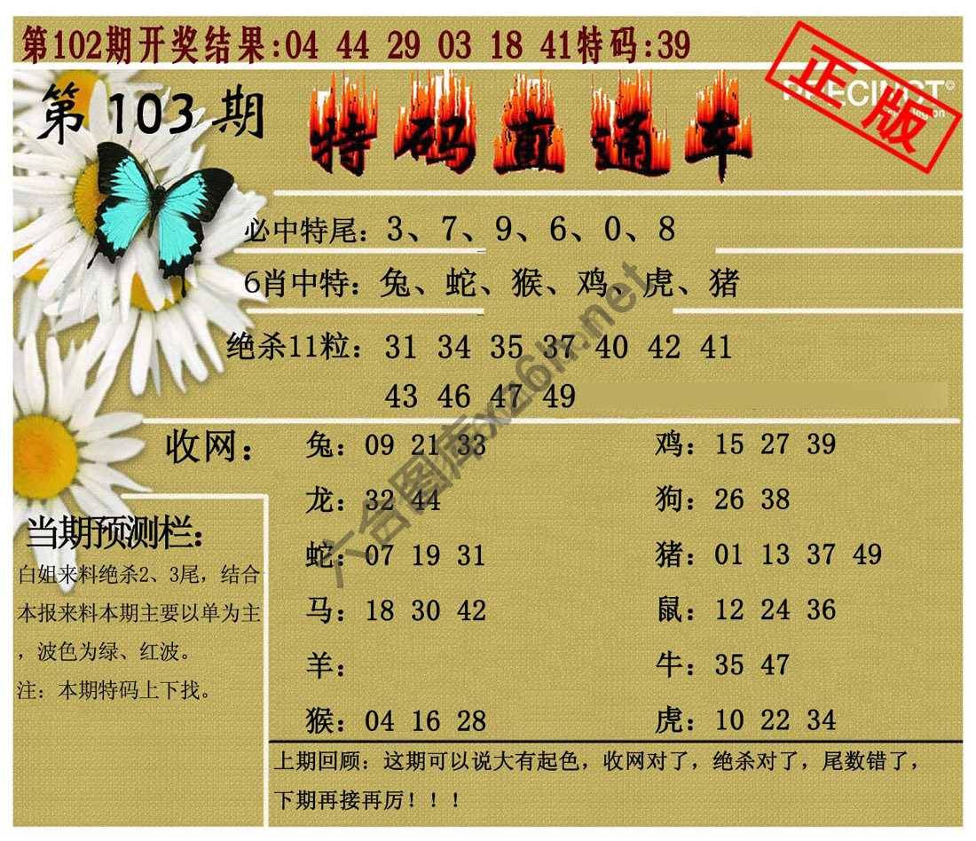 特码直通车