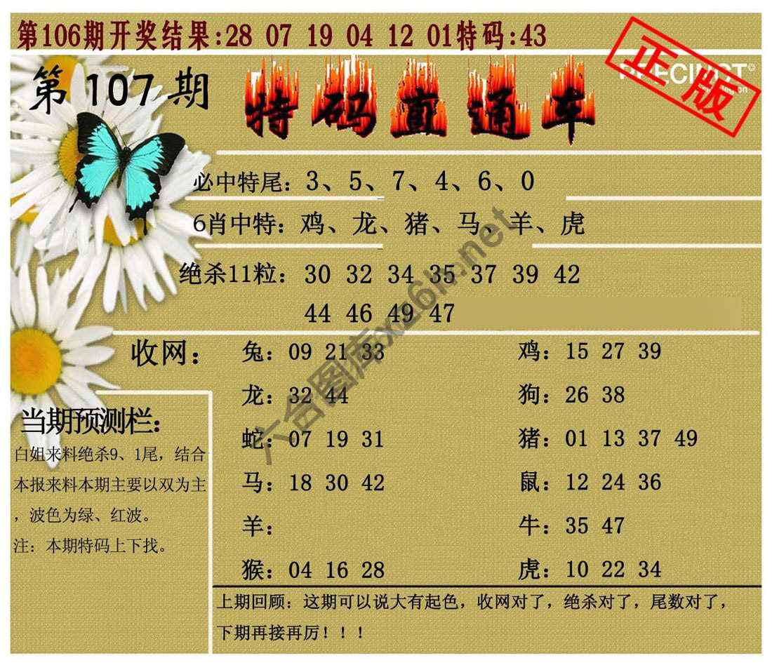 特码直通车