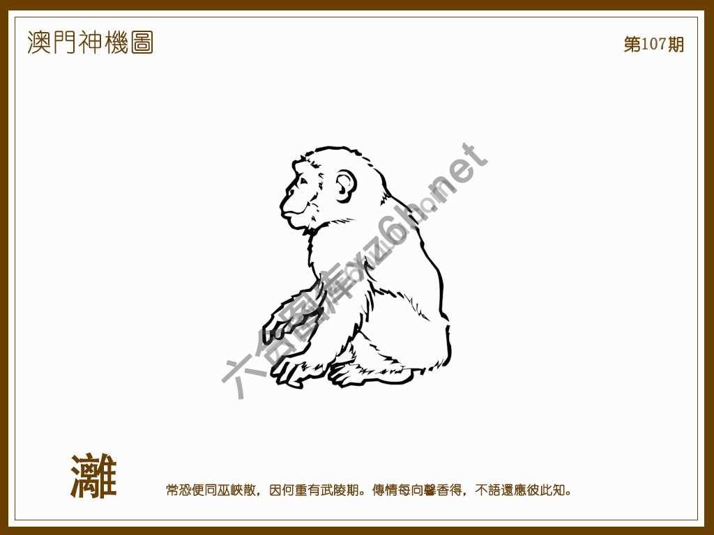 澳门神机图