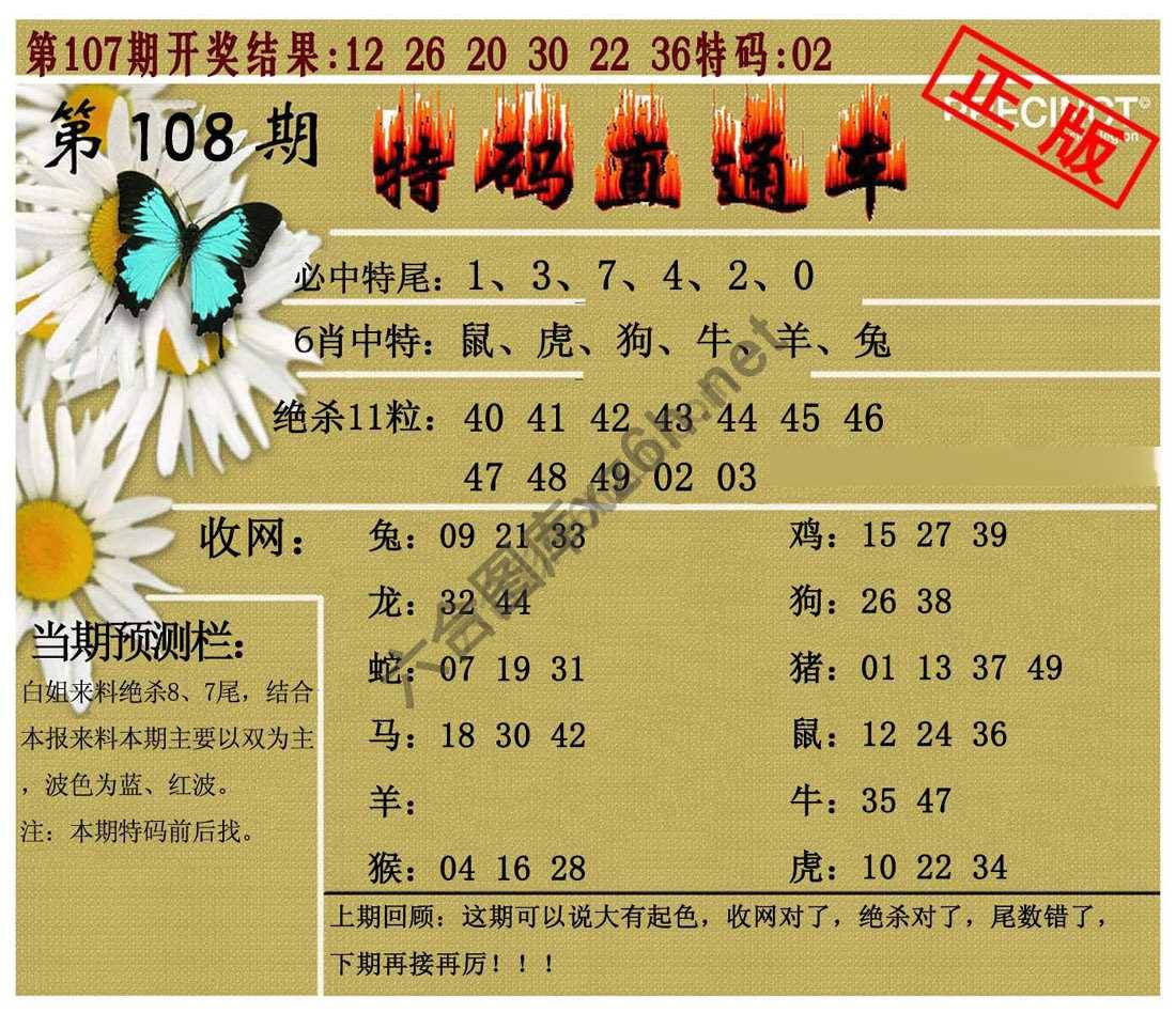 特码直通车