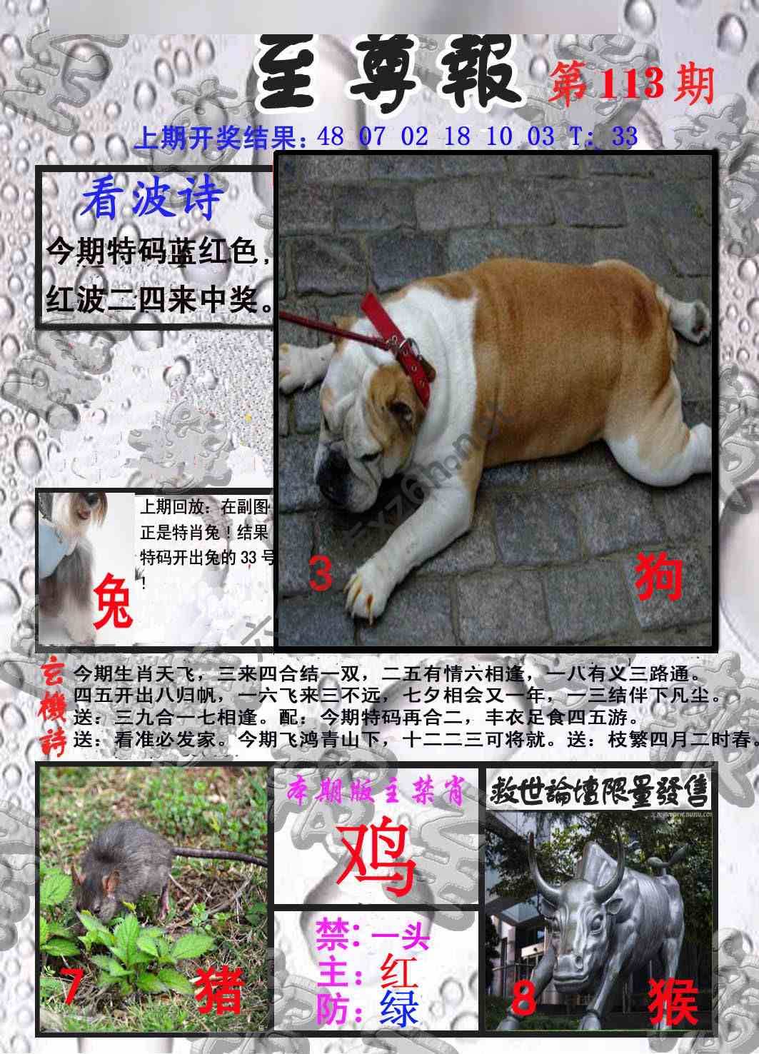 至尊报