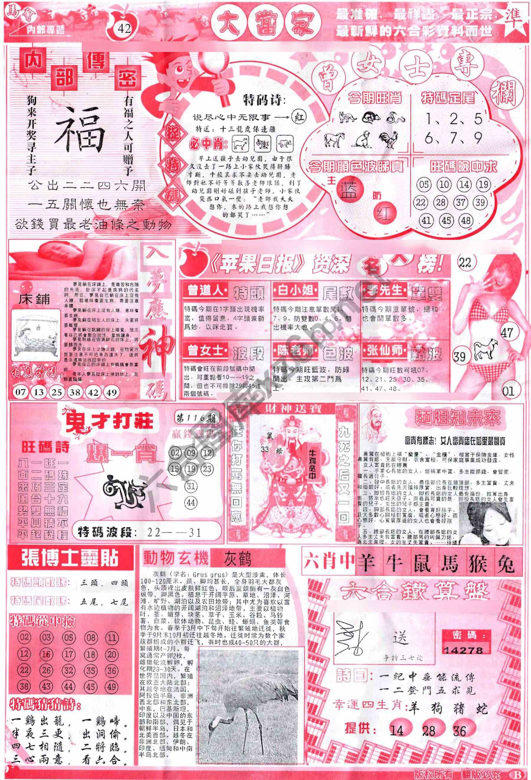 大当家