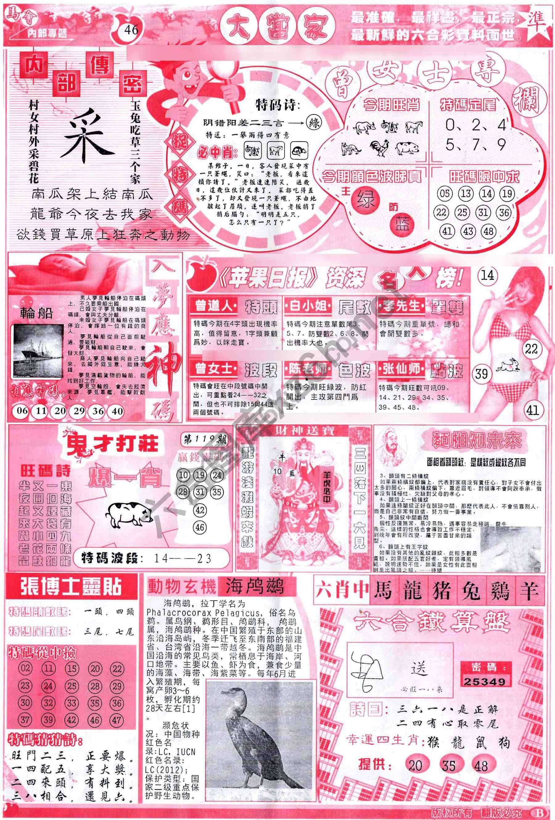 大当家