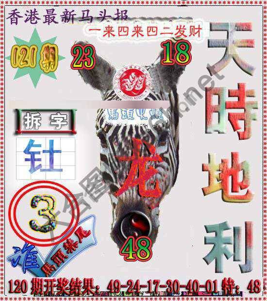 香港马头报