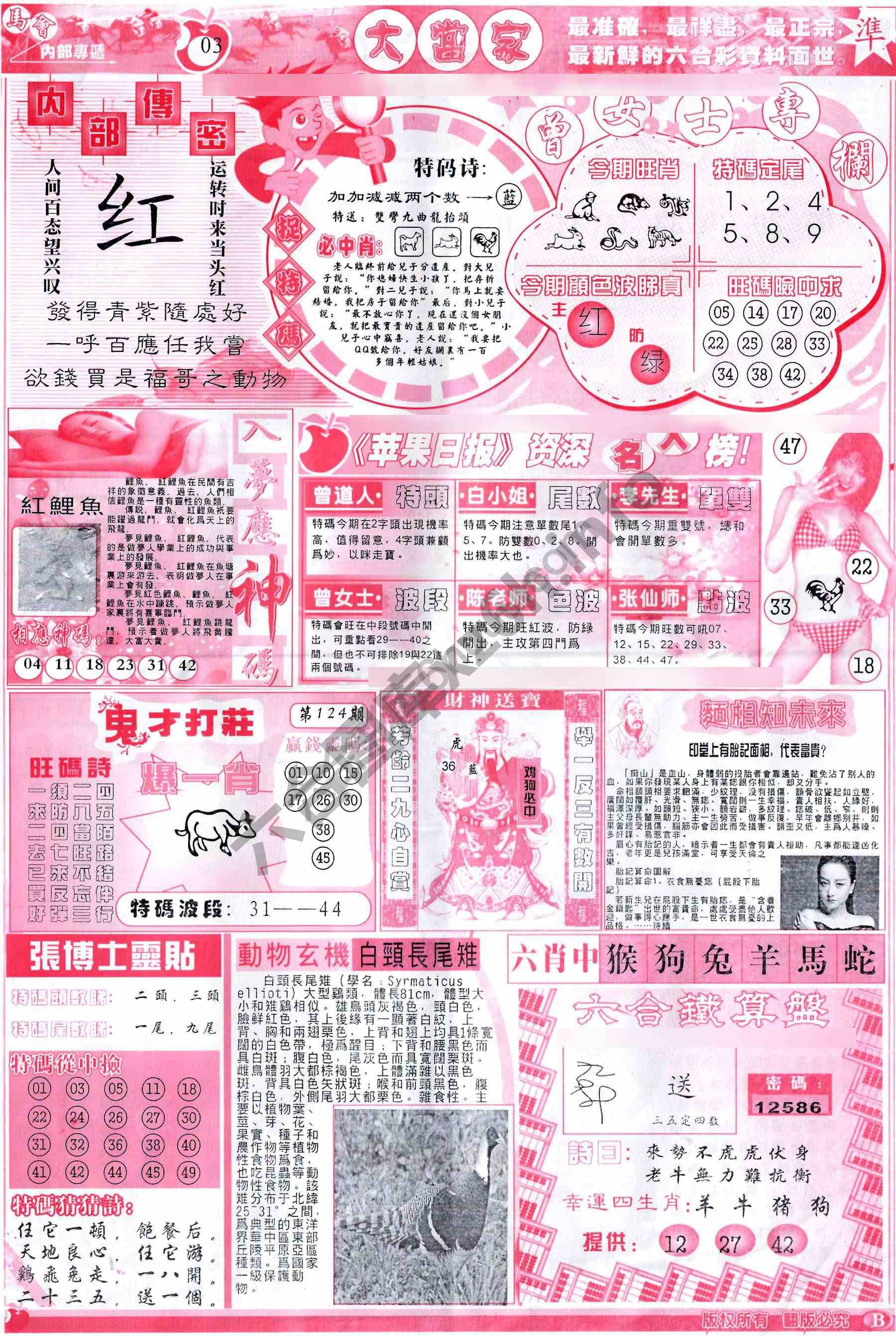 大当家