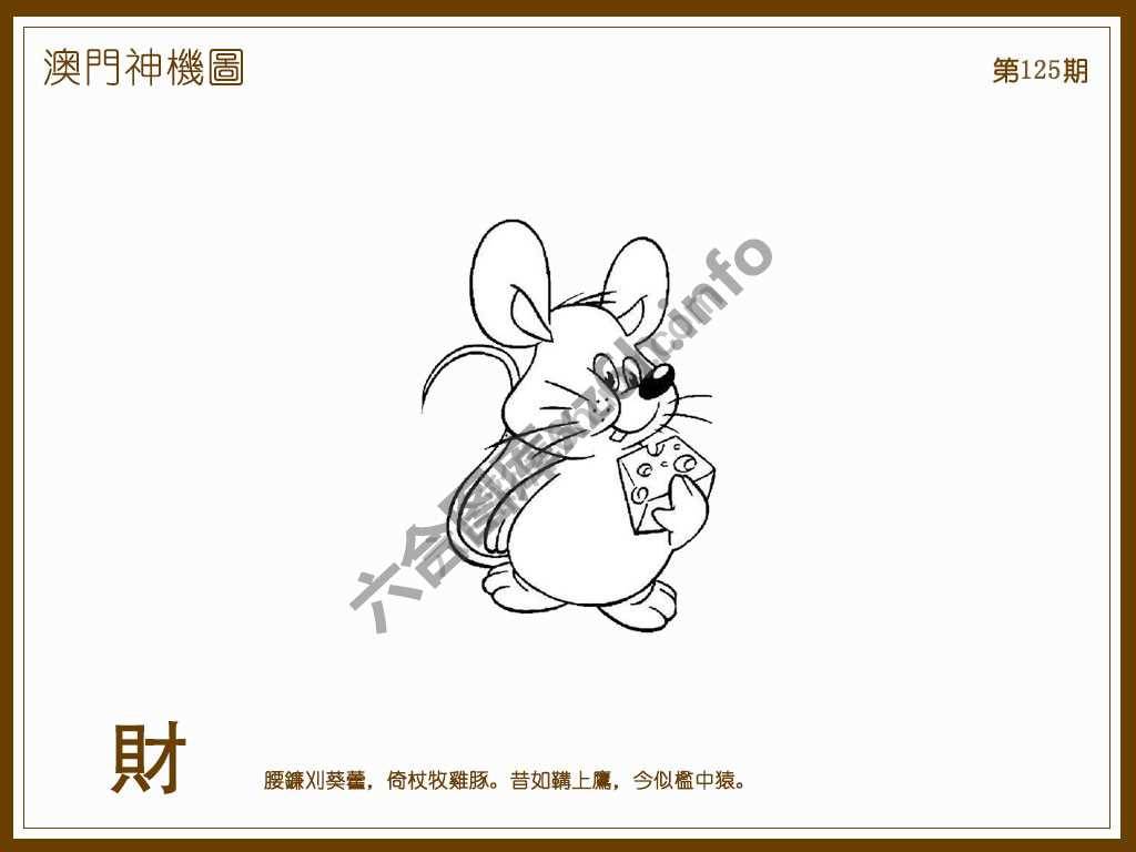 澳门神机图