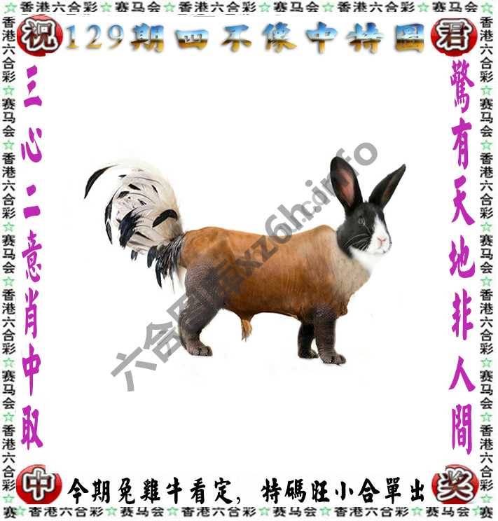 四不像中特图
