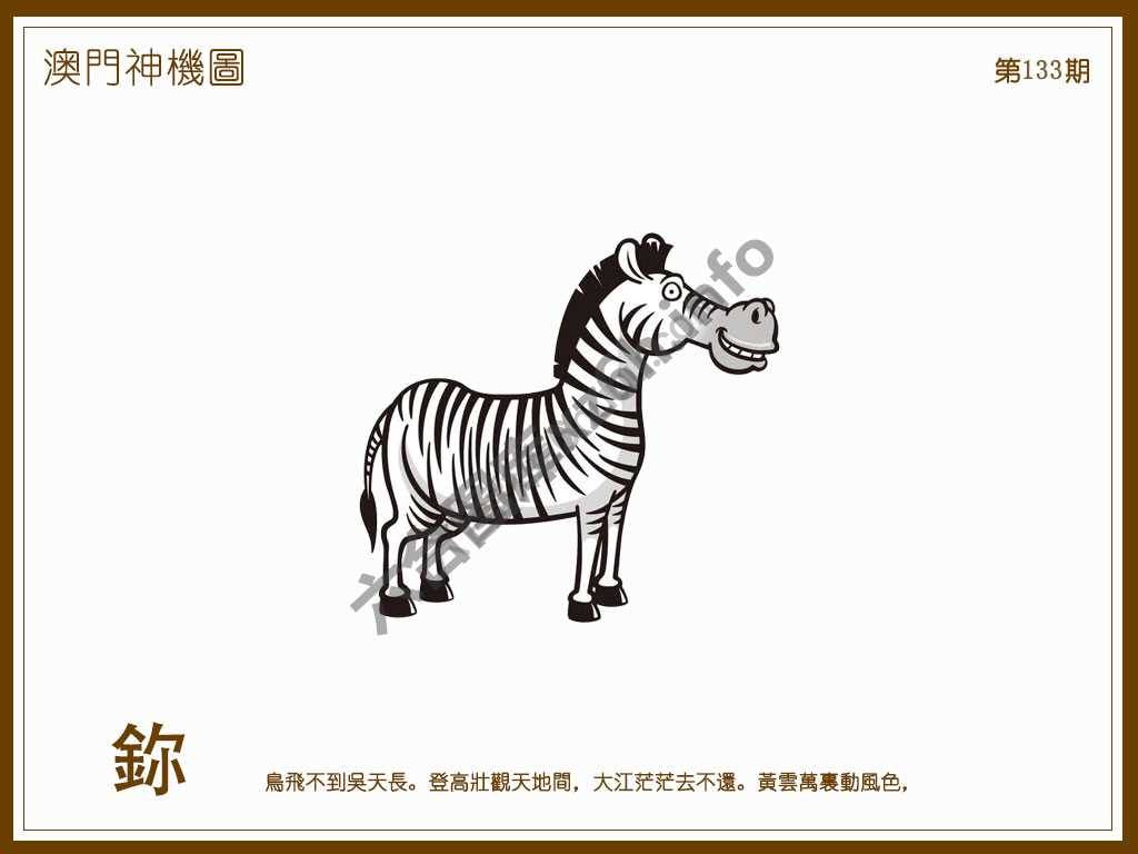澳门神机图