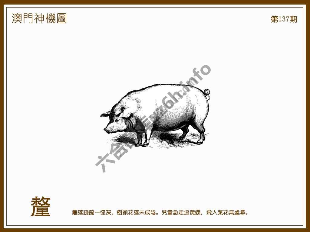 澳门神机图