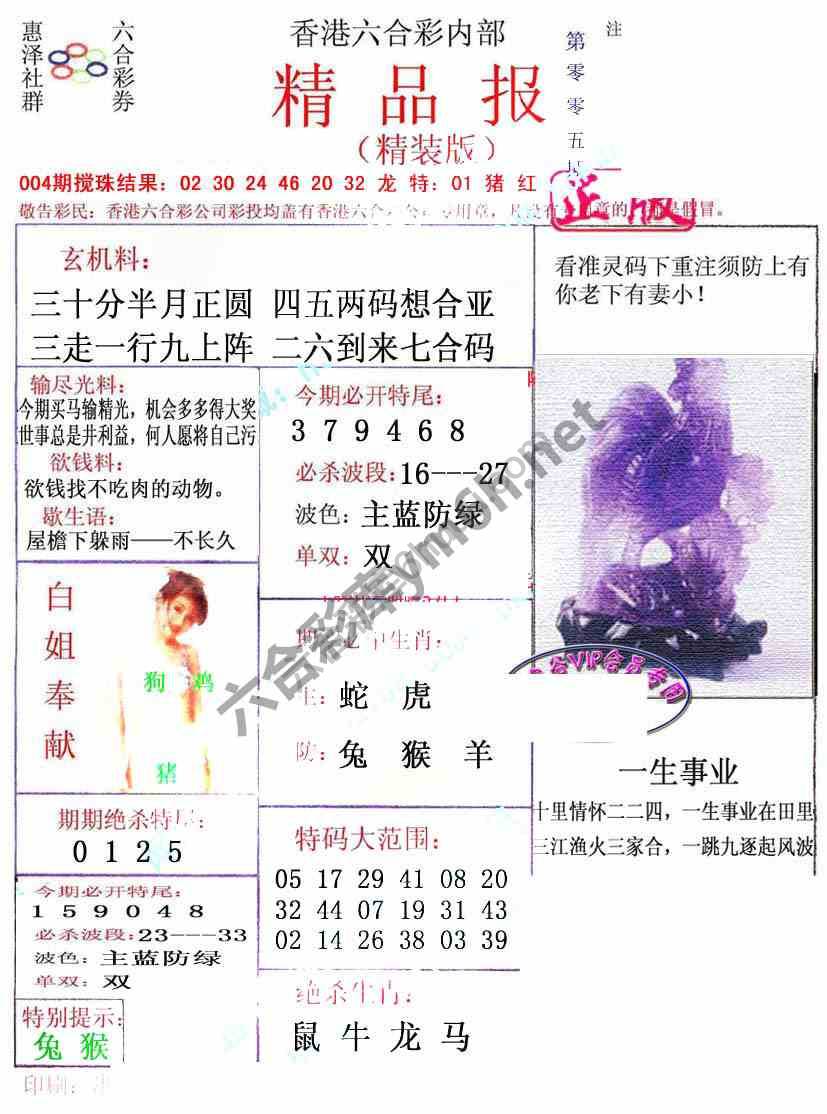 新精品报