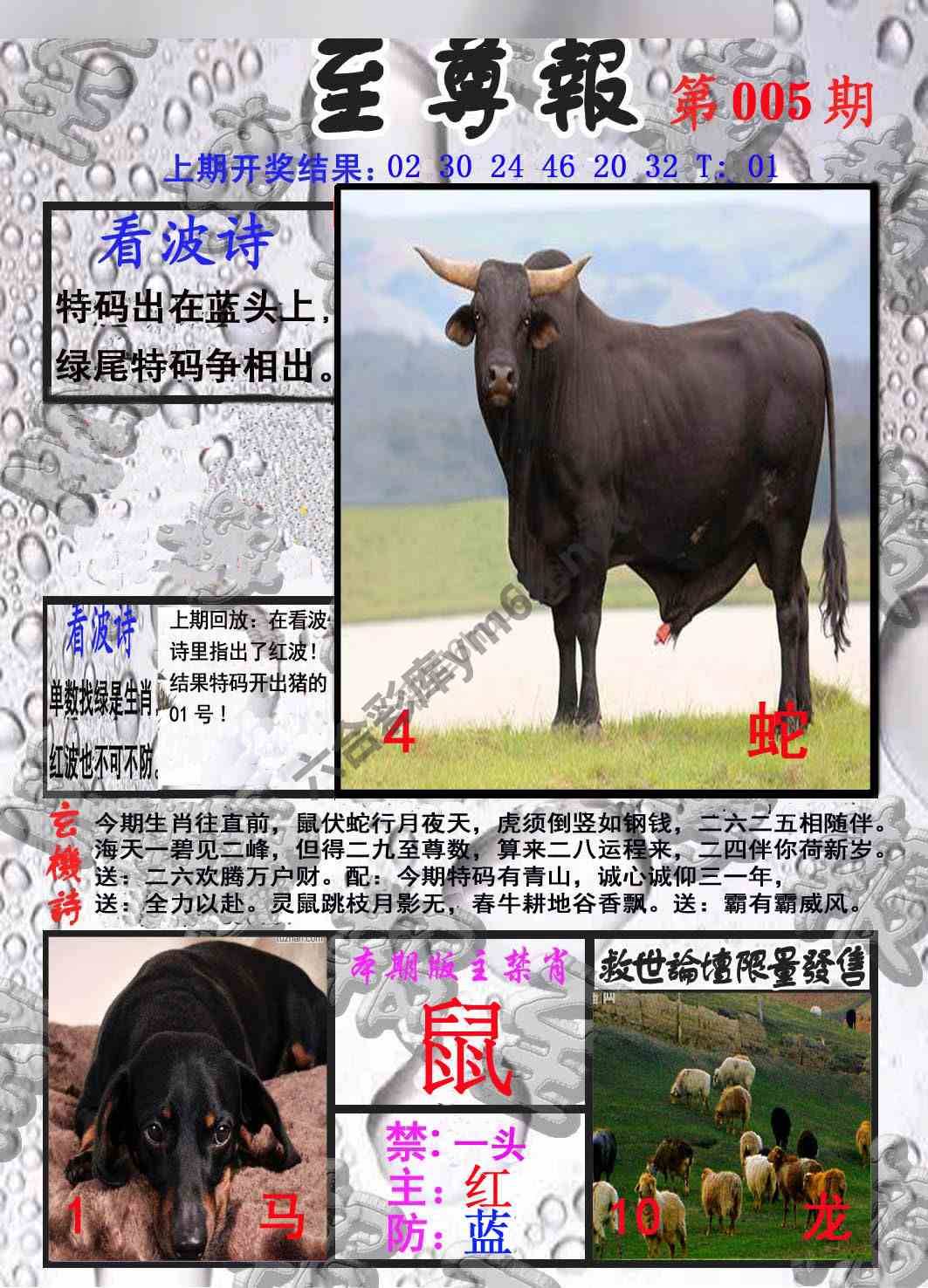 至尊报