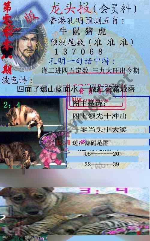 龙头报