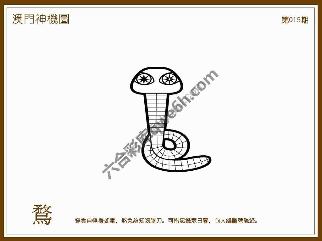 澳门神机图