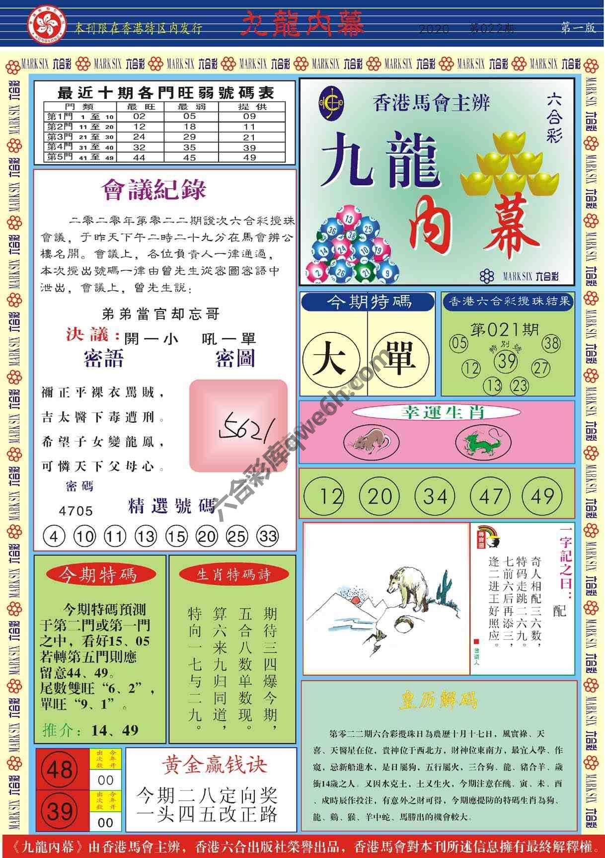 九龙内幕