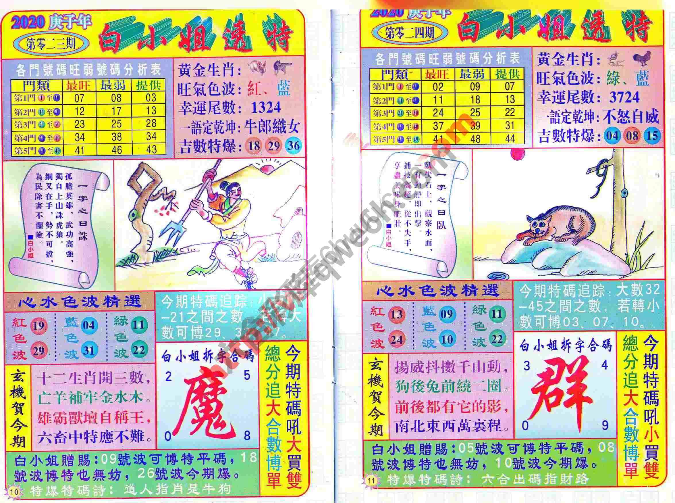 白小姐透特