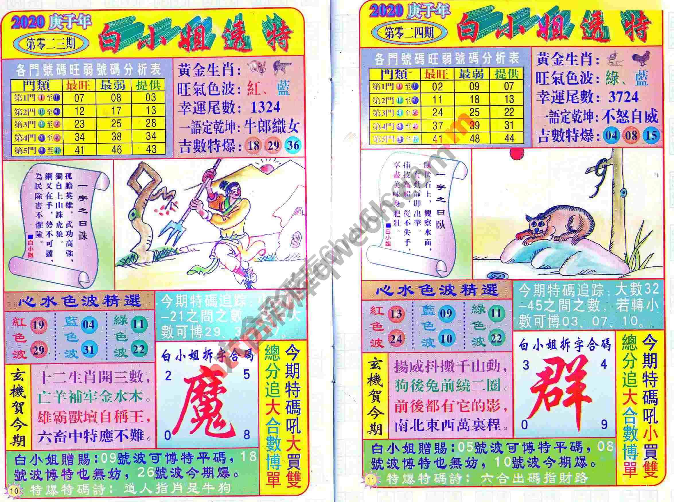 白小姐透特