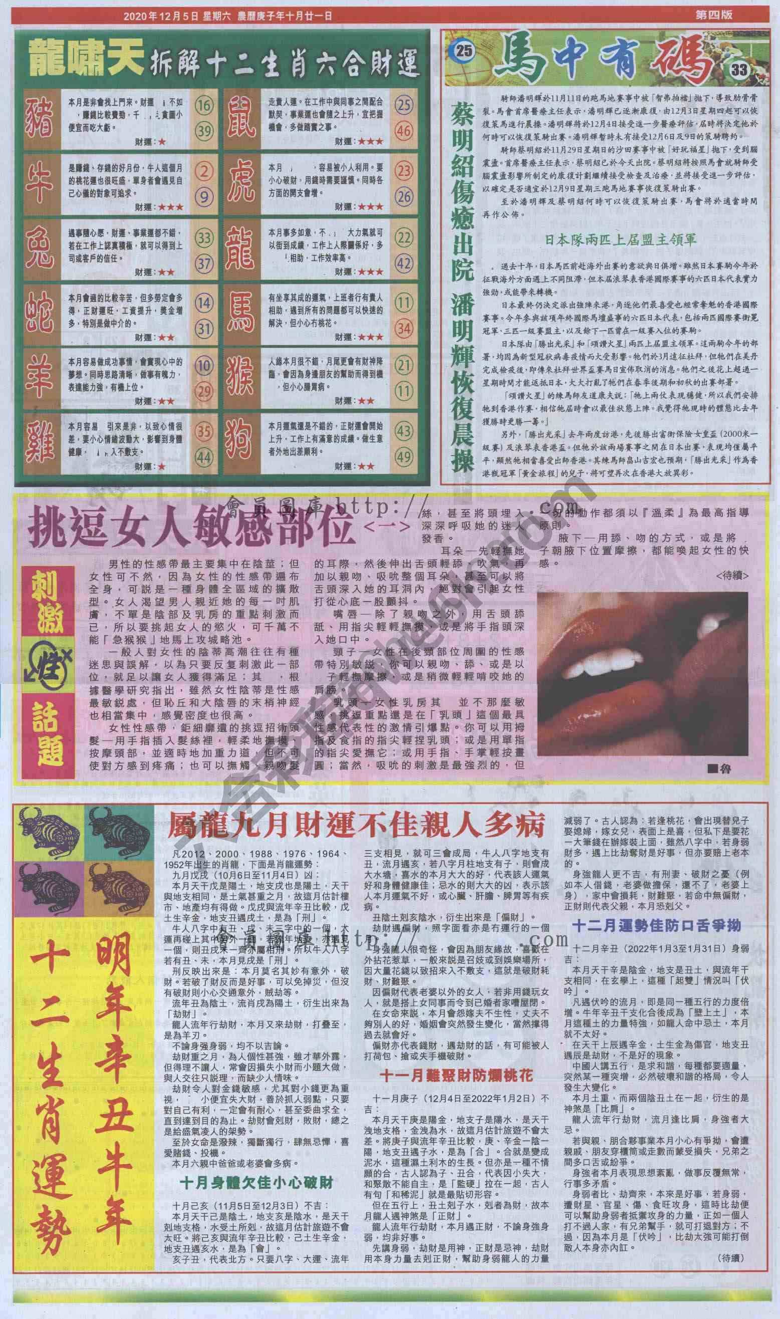 跑狗图